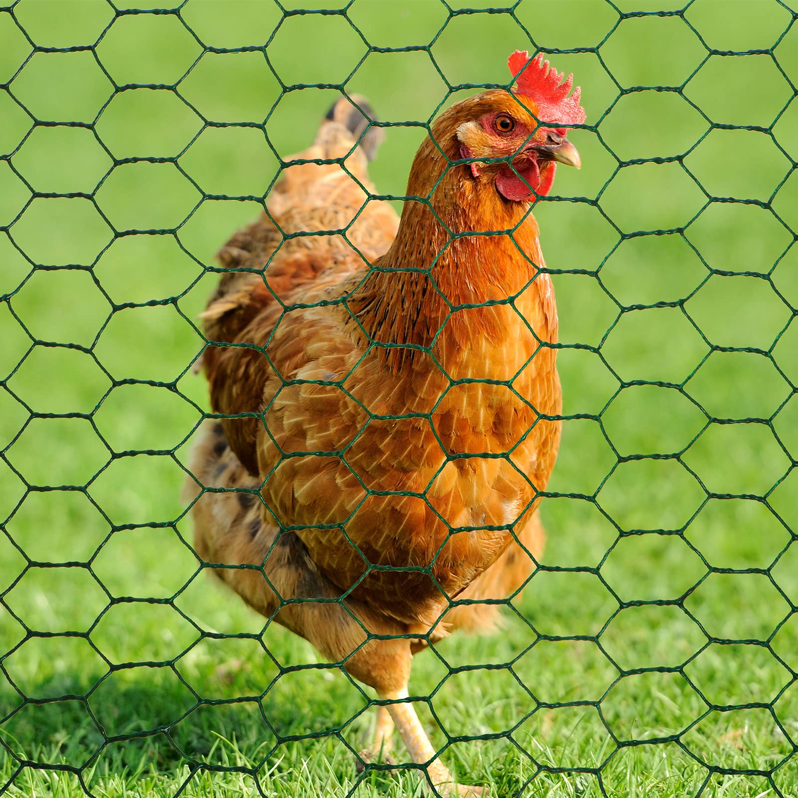 Hexagonal Wire Netting